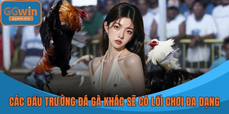 Các đấu trường đá gà khác nhau sẽ có lối chơi đa dạng