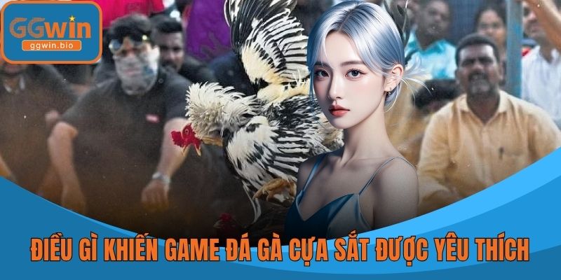 Điều gì khiến game đá gà cựa sắt được yêu thích