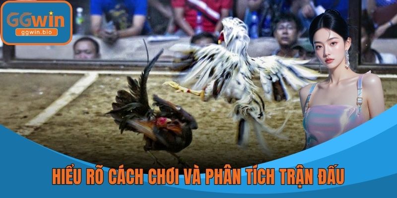 Hiểu rõ cách chơi và phân tích trận đấu giúp tăng tỷ lệ thắng
