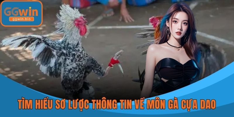 Tìm hiểu sơ lược thông tin về môn gà cựa dao